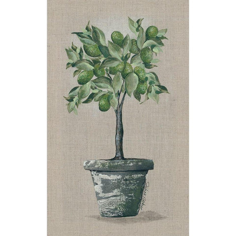 Lime Tree Gold Ornate Wood Framed Art Print with Double Matting by Norkus, Julie