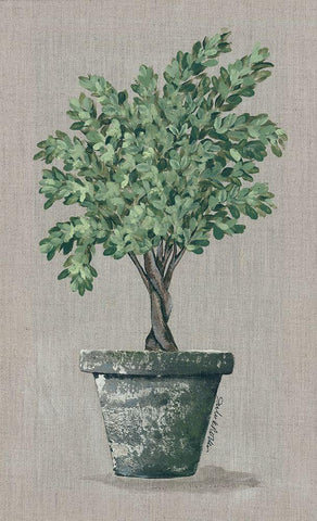 Asymmetrical Topiary Black Ornate Wood Framed Art Print with Double Matting by Norkus, Julie