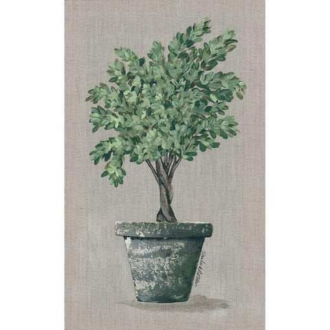 Asymmetrical Topiary Black Modern Wood Framed Art Print with Double Matting by Norkus, Julie