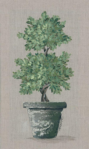 Double Topiary Black Ornate Wood Framed Art Print with Double Matting by Norkus, Julie
