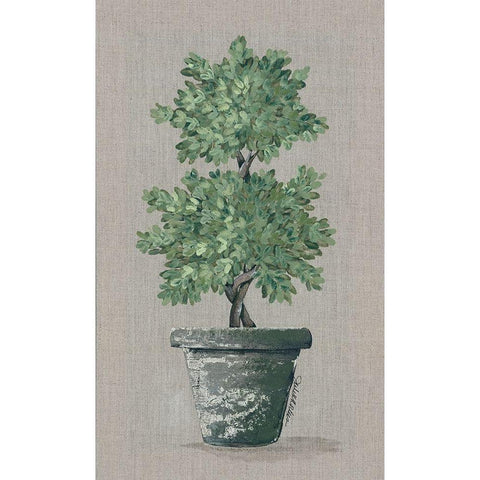 Double Topiary Black Modern Wood Framed Art Print by Norkus, Julie