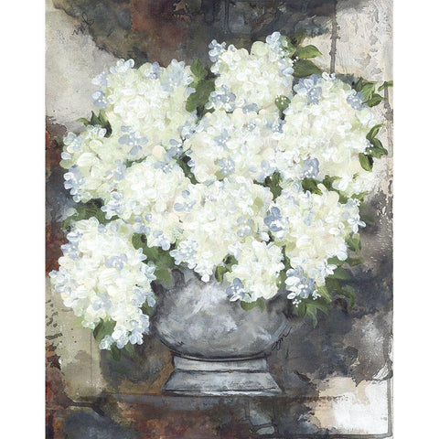 Snowball Hydrangeas II Black Modern Wood Framed Art Print with Double Matting by Norkus, Julie