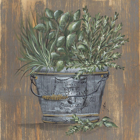 Herb Trio in Pail White Modern Wood Framed Art Print with Double Matting by Norkus, Julie