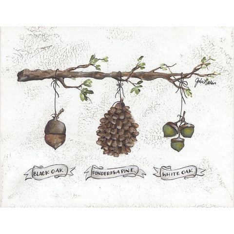 Pinecone Acorn Study White Modern Wood Framed Art Print by Norkus, Julie