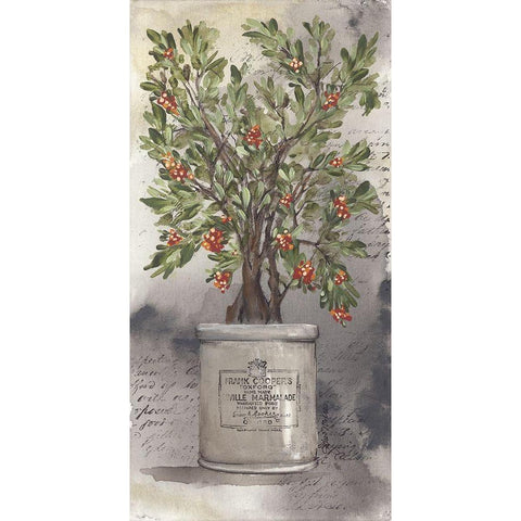 Bittersweet Bush Black Modern Wood Framed Art Print by Norkus, Julie