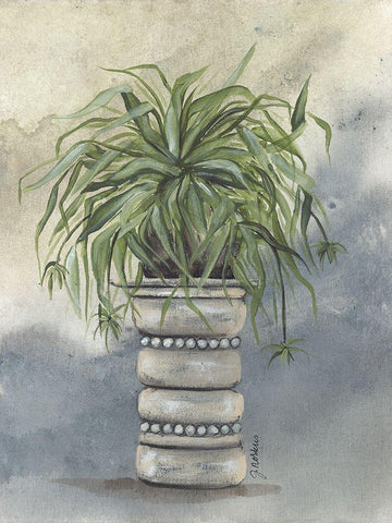 Spider Plant in Pottery White Modern Wood Framed Art Print with Double Matting by Norkus, Julie
