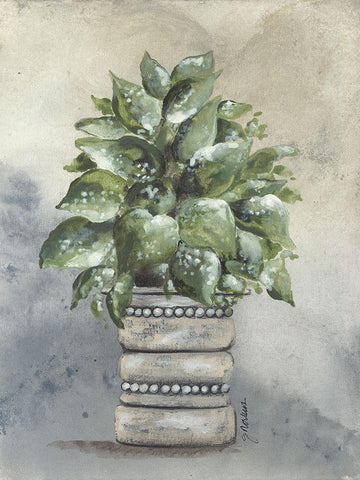 Pathos in Pottery White Modern Wood Framed Art Print with Double Matting by Norkus, Julie