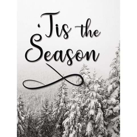 Tis the Season    White Modern Wood Framed Art Print by Rader, Lauren