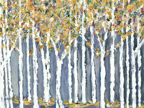 Birch Trees White Modern Wood Framed Art Print with Double Matting by Ebert, Roey