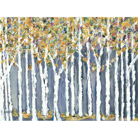 Birch Trees Black Modern Wood Framed Art Print with Double Matting by Ebert, Roey