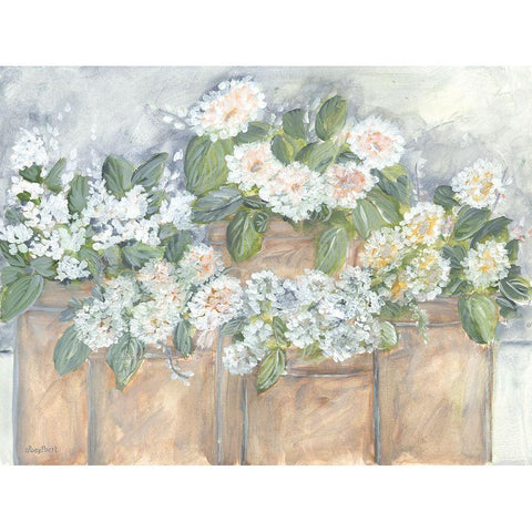 Windowsill Blooms Black Modern Wood Framed Art Print with Double Matting by Ebert, Roey