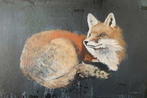Starry, Starry Night Fox White Modern Wood Framed Art Print with Double Matting by Redman, Suzi