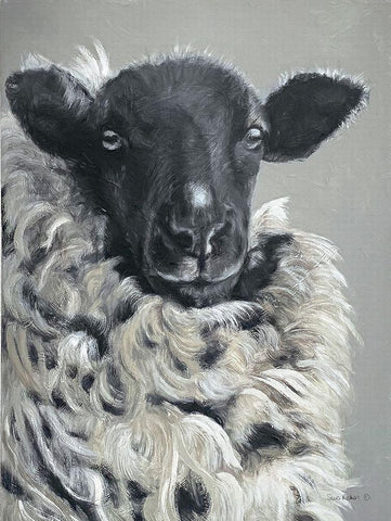 Sheep   Black Ornate Wood Framed Art Print with Double Matting by Redman, Suzi