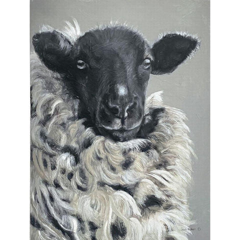 Sheep   Black Modern Wood Framed Art Print by Redman, Suzi