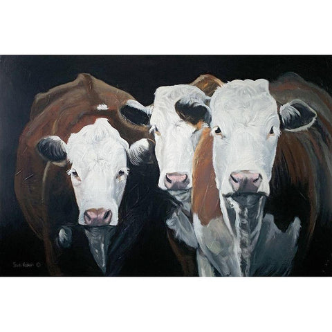 Hereford Gathering    White Modern Wood Framed Art Print by Redman, Suzi