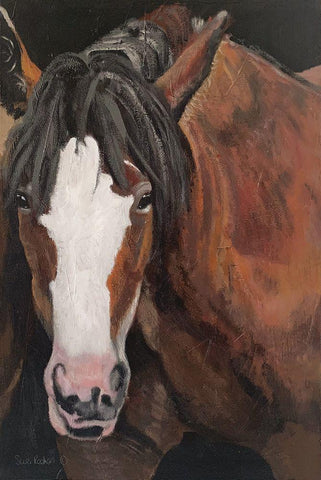Horse Portrait I White Modern Wood Framed Art Print with Double Matting by Redman, Suzi