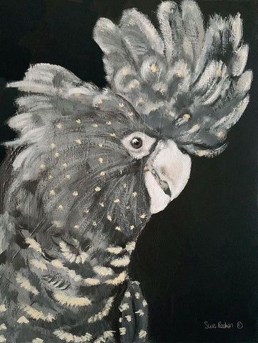 Gray Cockatoo Black Ornate Wood Framed Art Print with Double Matting by Redman, Suzi