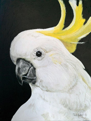 White Cockatoo White Modern Wood Framed Art Print with Double Matting by Redman, Suzi