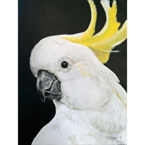 White Cockatoo White Modern Wood Framed Art Print by Redman, Suzi