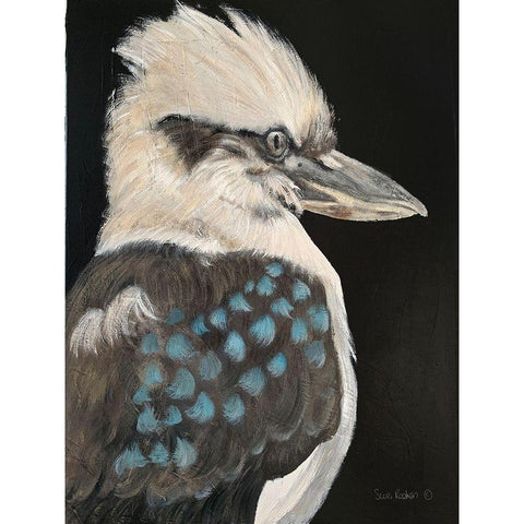 Kookaburra Black Modern Wood Framed Art Print with Double Matting by Redman, Suzi