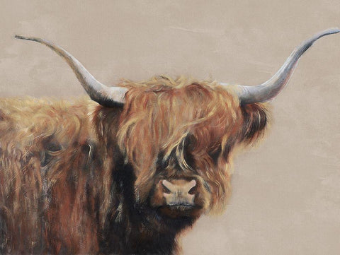 Highland Cow White Modern Wood Framed Art Print with Double Matting by Redman, Suzi