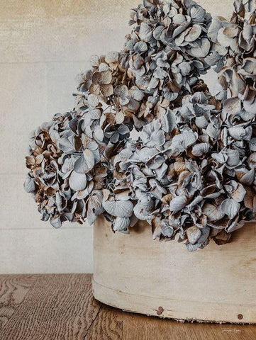 Rustic Hydrangea Black Ornate Wood Framed Art Print with Double Matting by Rigsby, Jennifer