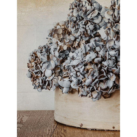 Rustic Hydrangea Black Modern Wood Framed Art Print with Double Matting by Rigsby, Jennifer