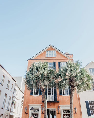 Charleston Palms White Modern Wood Framed Art Print with Double Matting by Rigsby, Jennifer