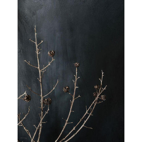 Branches in Noir I White Modern Wood Framed Art Print by Rigsby, Jennifer