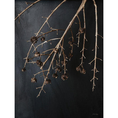 Branches in Noir II Black Modern Wood Framed Art Print with Double Matting by Rigsby, Jennifer