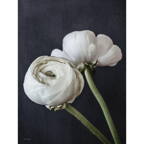 Refined Beauty I White Modern Wood Framed Art Print by Rigsby, Jennifer