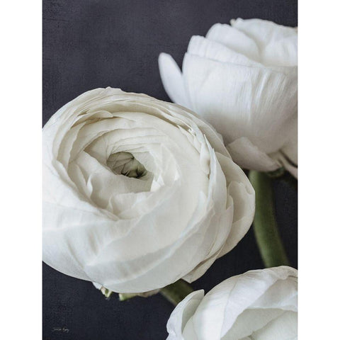 Refined Beauty II White Modern Wood Framed Art Print by Rigsby, Jennifer