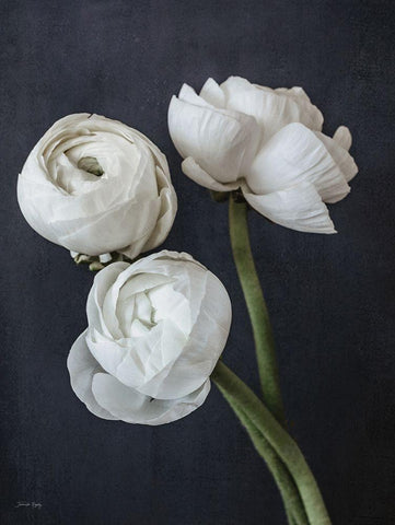 Refined Beauty III White Modern Wood Framed Art Print with Double Matting by Rigsby, Jennifer