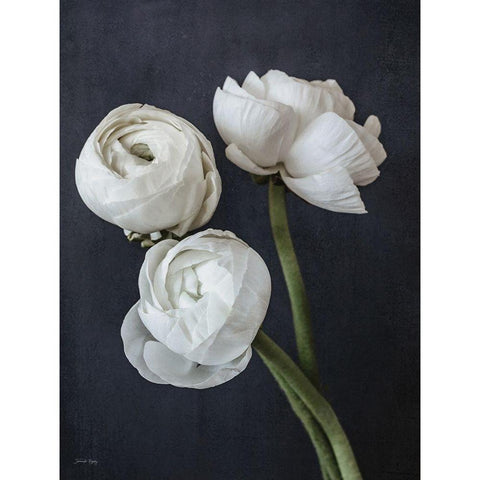 Refined Beauty III Gold Ornate Wood Framed Art Print with Double Matting by Rigsby, Jennifer