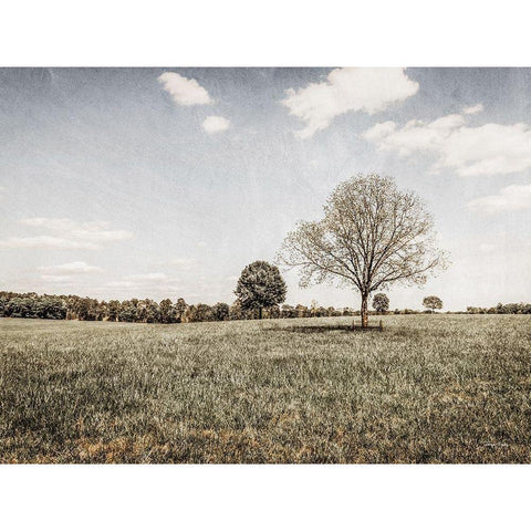 Together in the Fields I Black Modern Wood Framed Art Print by Rigsby, Jennifer