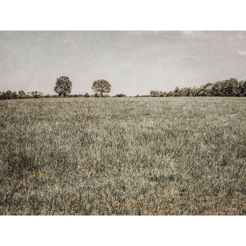 Together in the Fields II Gold Ornate Wood Framed Art Print with Double Matting by Rigsby, Jennifer