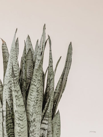 Boho Snake Plant White Modern Wood Framed Art Print with Double Matting by Rigsby, Jennifer