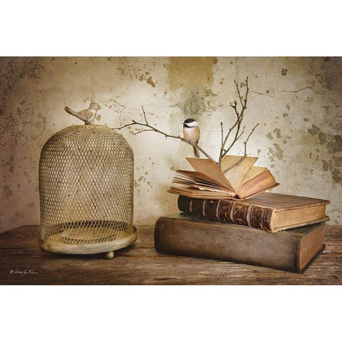 Bird Watching Black Modern Wood Framed Art Print with Double Matting by Vieira, Robin-Lee