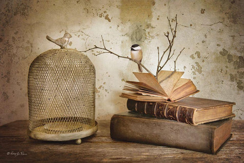 Bird Watching White Modern Wood Framed Art Print with Double Matting by Vieira, Robin-Lee