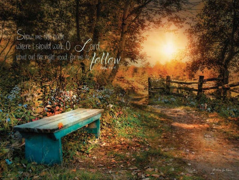 Show Me the Path White Modern Wood Framed Art Print with Double Matting by Vieira, Robin-Lee