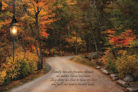 Family Ties White Modern Wood Framed Art Print with Double Matting by Vieira, Robin-Lee