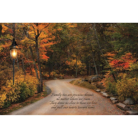 Family Ties Black Modern Wood Framed Art Print with Double Matting by Vieira, Robin-Lee