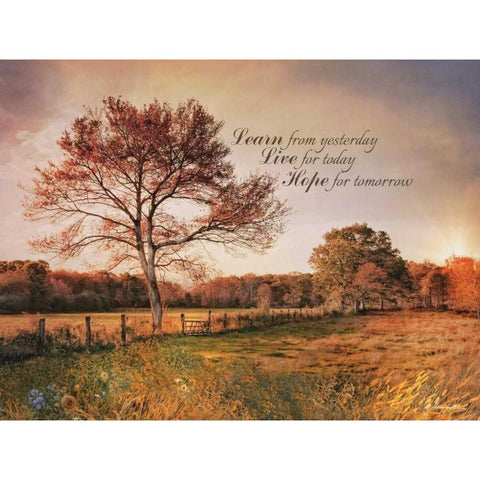 Learn from Yesterday White Modern Wood Framed Art Print by Vieira, Robin-Lee