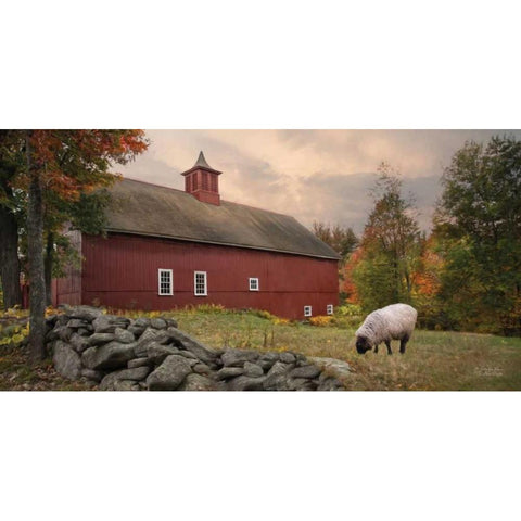 The Lone Grazer  Black Modern Wood Framed Art Print with Double Matting by Vieira, Robin-Lee