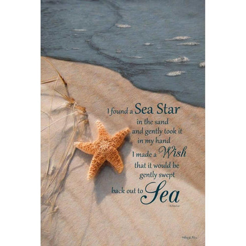 The Wish White Modern Wood Framed Art Print by Vieira, Robin-Lee