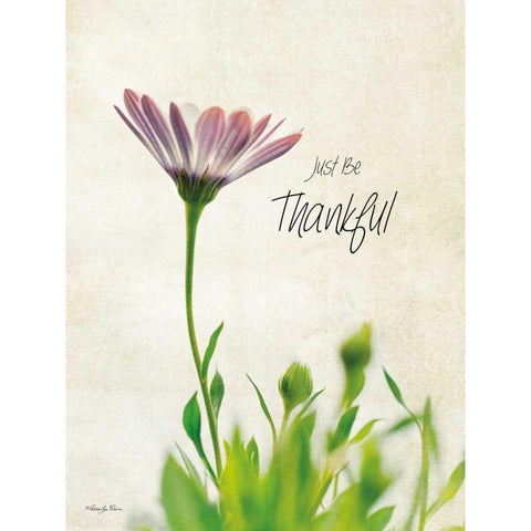 Just be Thankful Black Modern Wood Framed Art Print with Double Matting by Vieira, Robin-Lee