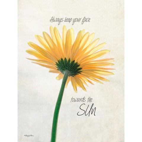 Towards the Sun White Modern Wood Framed Art Print by Vieira, Robin-Lee