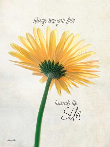 Towards the Sun White Modern Wood Framed Art Print with Double Matting by Vieira, Robin-Lee