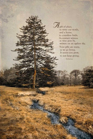 Ode to Trees White Modern Wood Framed Art Print with Double Matting by Vieira, Robin-Lee