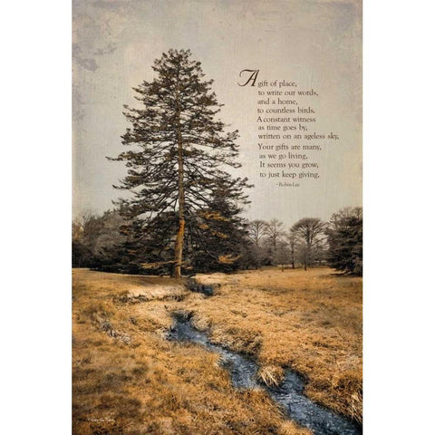 Ode to Trees Black Modern Wood Framed Art Print by Vieira, Robin-Lee